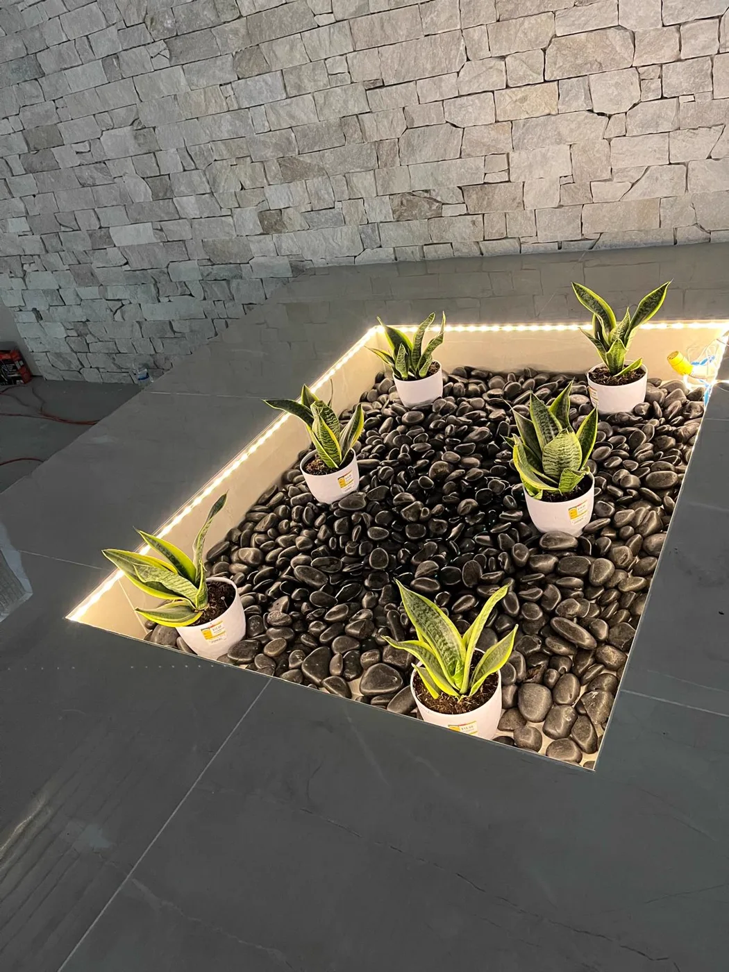 Jardinera de piedra interior con plantas naturales, local comercial renovado, Metro Atlanta